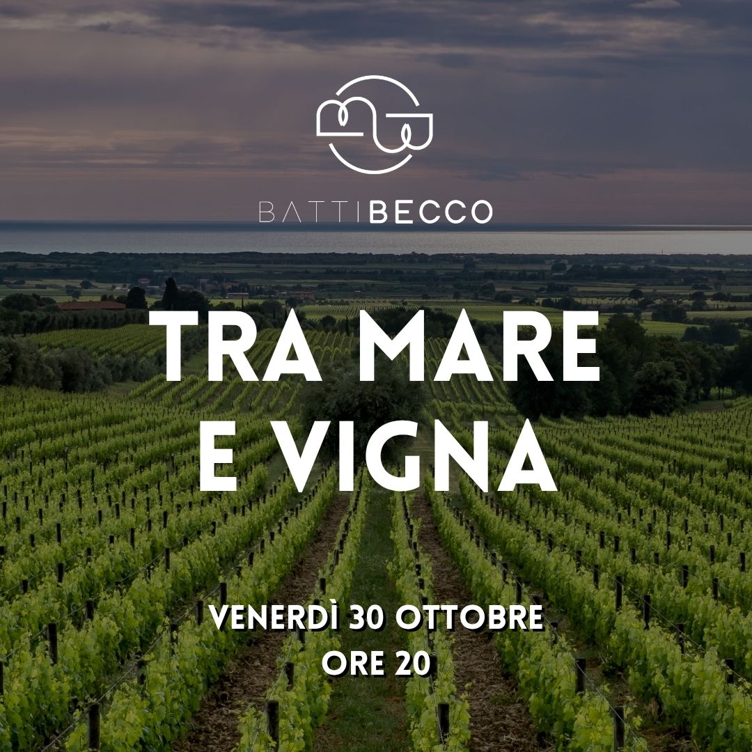 Tra mare e vigna Bolgheri